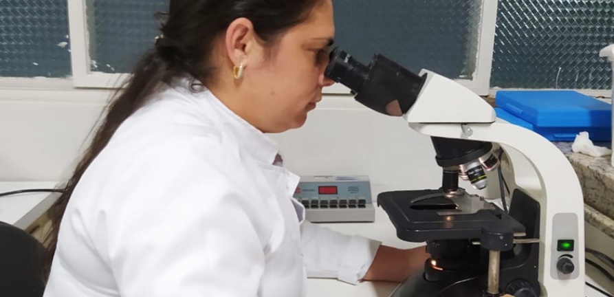 Exame toxicológico é no Laboratório do HNSC