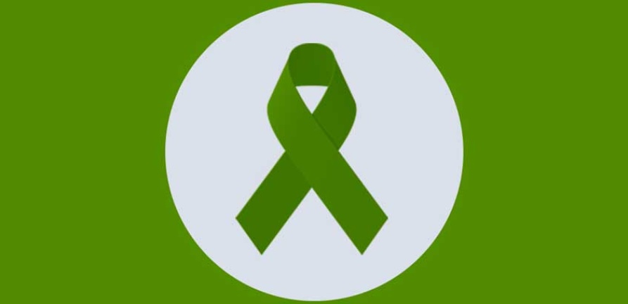 Setembro Verde: seja um doador de órgãos e tecidos